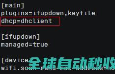 动态获取IPv6地址_弹性网卡管理_用户指南_弹性