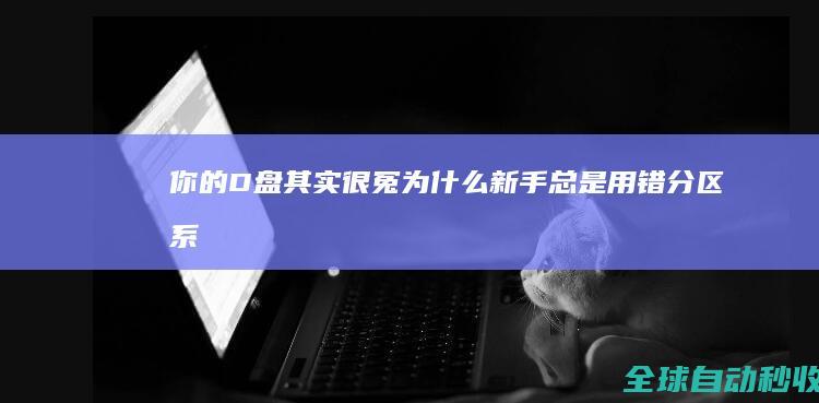 你的D盘其实很冤！为什么新手总是用错分区-系统操作与应用
