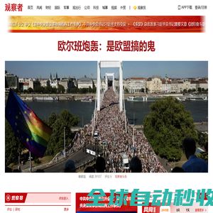 观察者网